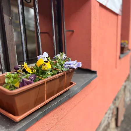 Gasthuis Pod Lanovkou Jáchymov